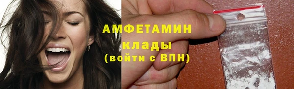 прущие грибы Лиски