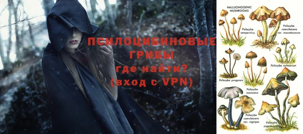прущие грибы Лиски