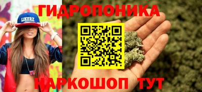 ПСИЛОЦИБИНОВЫЕ ГРИБЫ Ирбит