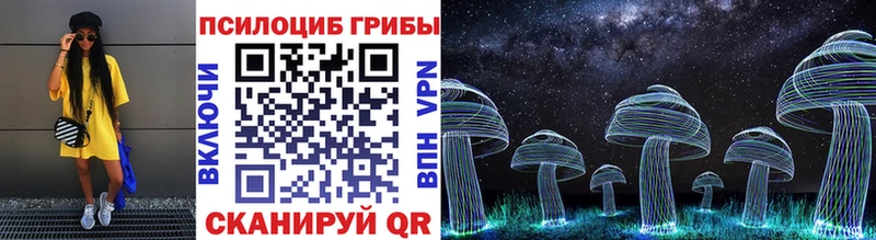 Псилоцибиновые грибы Cubensis  Мыски 